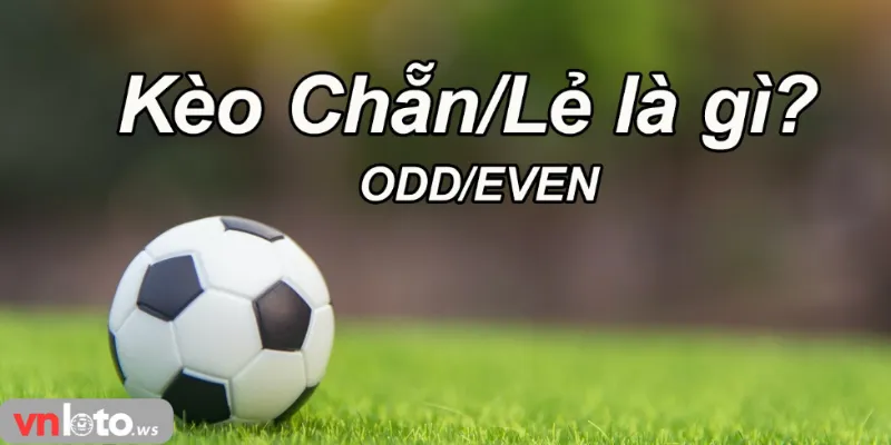 Sơ lược kèo chẵn lẻ Vnloto